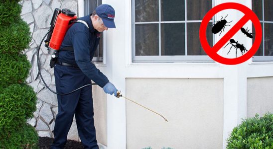 Alacakaya Karınca İlaçlama böcek ilaçlama ve haşere kontrolü — ilaclama-tr.com